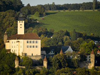 Fototapeta na wymiar Schloss Horneck Gundelsheim Baden-Württemberg Nekcartal
