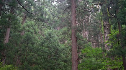 Oyama shrine in Toyama, Japan.