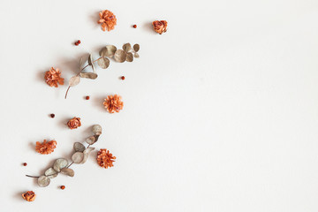 Autumn composition. Frame made of dried flowers, eucalyptus leaves, berries on gray background. Autumn, fall, thanksgiving day concept. Flat lay, top view, copy space