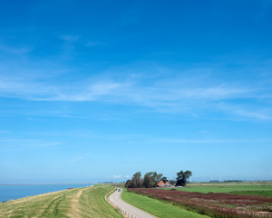 Fototapeta na wymiar vast area of agriculture land in friesland near makkum with lonely farm under blue sky