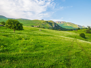 Fototapeta na wymiar Beautiful calm summer evening in the mountains of South Caucasus