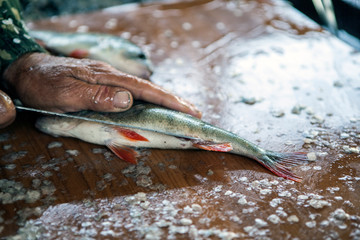 fish clean wooden table background 