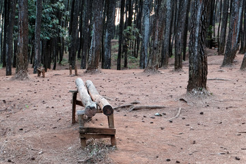 The empty bench at Puncak Becici, Bantul, Yogyakarta, Indonesia during soft twilight.