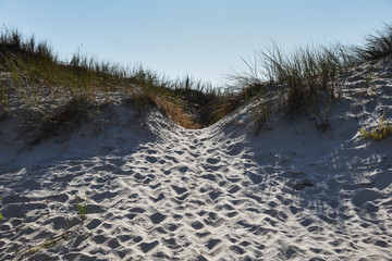 Sandy dunes at Baltic sea coast.