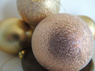 kiwi on white background