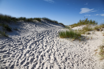 Fototapeta na wymiar Sandy dunes at Baltic sea coast.
