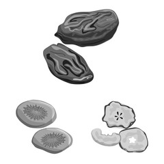 Isolated object of vitamin and nature symbol. Set of vitamin and dried stock vector illustration.