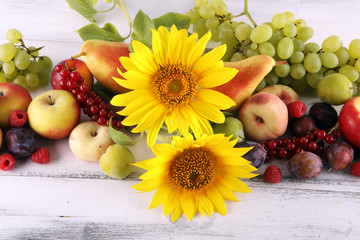 Autumn nature concept. Fall fruit with grapes, plums and sunflower on wood. Thanksgiving dinner