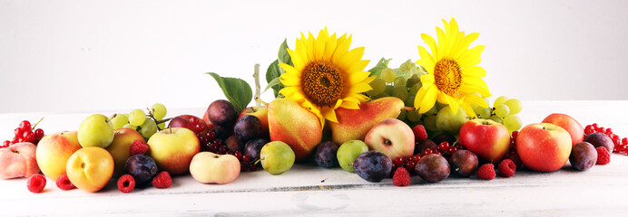 Fototapeta na wymiar Autumn nature concept. Fall fruit with grapes, plums and sunflower on wood. Thanksgiving dinner