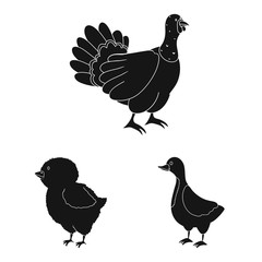 Vector illustration of ranch and organic icon. Set of ranch and food vector icon for stock.