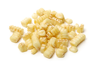 Seed corn on white background