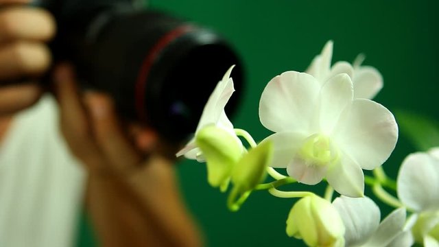 Man taking photo  with white vanda orchid , in studio Chiangmai Thailand