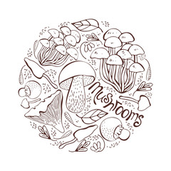 Mushroom hand drawn vector illustration. Set Isolated sketch food drawing into a circle. Mushrooms, morels, truffles, porcini mushrooms, oysters, honey agar, chanterelles, organic vegetarian product.
