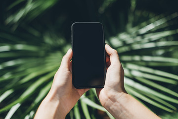 Close-up of woman hands holding smartphone with top screen view and blank copy-space for your advertisement text. Girl uses internet with her phone outdoors in green the park with palms.