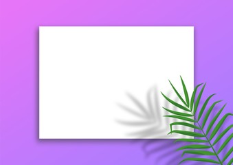 Vector template with white sheet of paper and palm leaves overlay shadow. Trendy mockup with tropical leaves shadow. Abstract neon background with copy space for text, offers, sale, advertising.