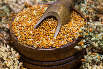 Millet grains in a wooden box, a wooden spoon on the background of spikelets of millet.