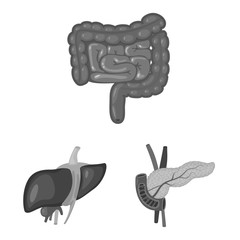 Vector illustration of internal and medical logo. Collection of internal and health stock vector illustration.