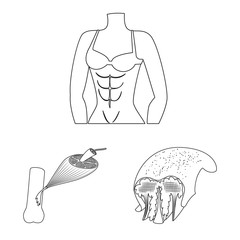 Vector design of fiber and muscular logo. Set of fiber and body vector icon for stock.
