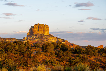 Obraz premium Arizona Desert at Dawn