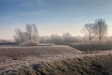 Obraz premium Winter landscape