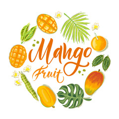 Hand drawn textured mango, flowers and leafs on white background.  Colorful vector flat lay food illustration for healthy food cafe, restaurant, fruits and grocery market