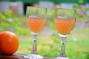 Glass of aperol spritz cocktail on a background of green foliage, selective focus