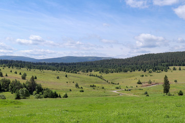 Fototapeta na wymiar Landscape view in the Sumava National Park