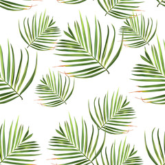 Palm beach. Tropic summer jungle leaf. Floral background