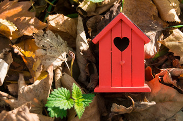fall scene with dried brown leaves and little wooden orange birdhouse