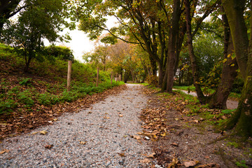 walking path near the dunes in Kijkduin, Netherlands