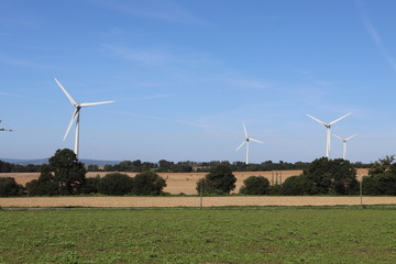 Eoliennes à 3 pales dans la commune de Saint Caradec - Côtes d'Armor - Bretagne - France