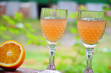 Glass of aperol spritz cocktail on a background of green foliage, selective focus
