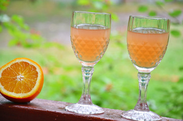 Glass of aperol spritz cocktail on a background of green foliage, selective focus