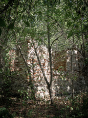 Obraz premium Country house ruins in Zalissya village in Chernobyl Exclusion Zone, Ukraine