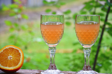 Glass of aperol spritz cocktail on a background of green foliage, selective focus