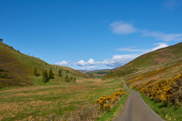 The Single track road through the Quharity Valley in the remote Angus Glens of Scotland on a fine morning in May. Scotland.