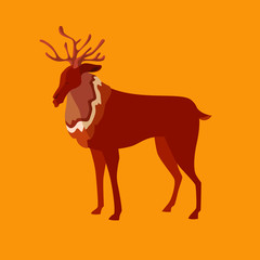 Cute Reindeer Character Illustration Vector Isolated Element