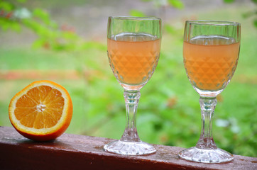 Glass of aperol spritz cocktail on a background of green foliage, selective focus