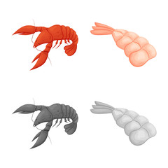 Vector design of appetizer and ocean sign. Set of appetizer and delicacy stock vector illustration.