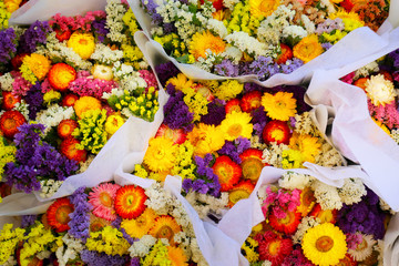 colorful bouquet of dried flowers