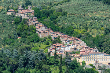 Fototapeta na wymiar Hills near Collodi, Lucca