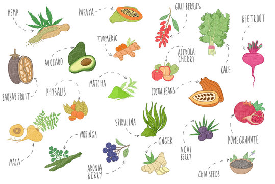 superfoods illustrations set