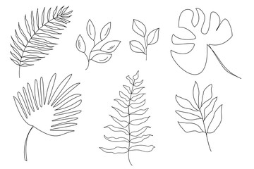 Vector set of tropical leaves. Palm, fern, dracaena and others.