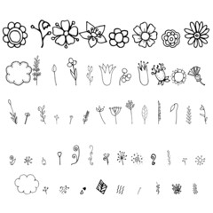 Hand drawn vector flowers, floral doodle, abstract elements, minimalism art, vector image