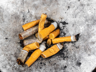 Squeezed remnants of cigarettes in an ashtray