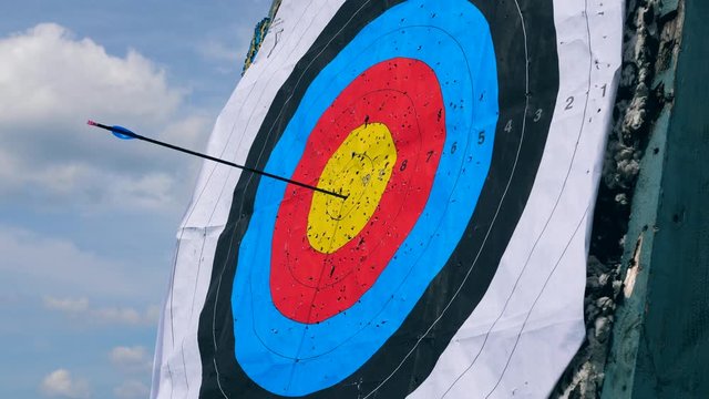 Black arrow getting to the center of a target.