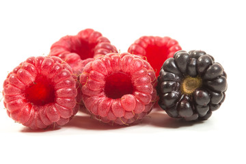 Bunch of fresh ripe raspberries and blackberry on white