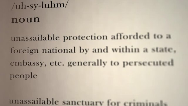 Asylum Definition