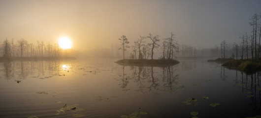 Fototapeta na wymiar Landscape of misty sunset over the swamp. Reflection in water.