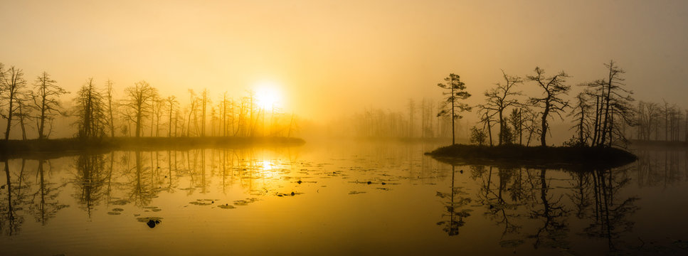 Landscape of misty sunset over the swamp. Reflection in water.